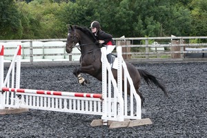 Class 5 - Fences not above 2'6